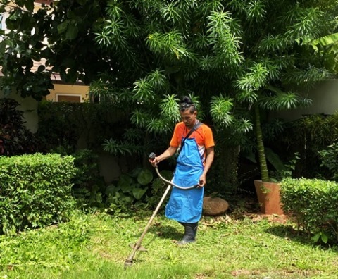 รับตัดหญ้าทำความสะอาดสวนสุราษฎร์ธานี