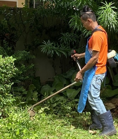 รับจ้างตัดหญ้าสุราษฎ์ธานี